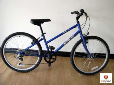 image of item jubilee100.jpg